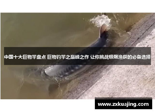 中国十大巨物竿盘点 巨物钓竿之巅峰之作 让你挑战极限渔获的必备选择