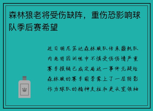 森林狼老将受伤缺阵，重伤恐影响球队季后赛希望