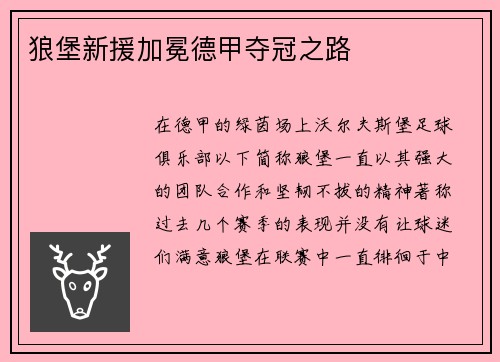 狼堡新援加冕德甲夺冠之路